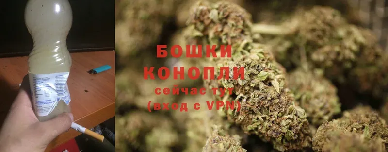 хочу наркоту  Кандалакша  Бошки Шишки White Widow 